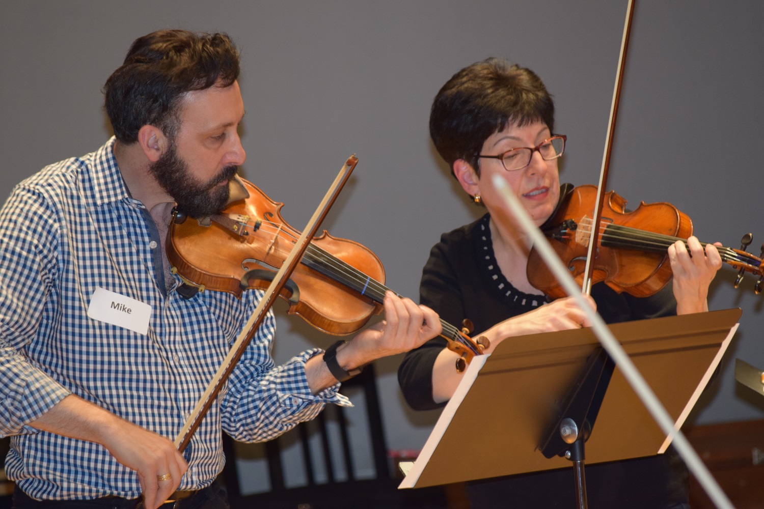 Amateur Music Network Violin Workshop, Diane Nicholeris, mentor