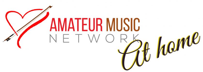 AMN AT HOME LOGO