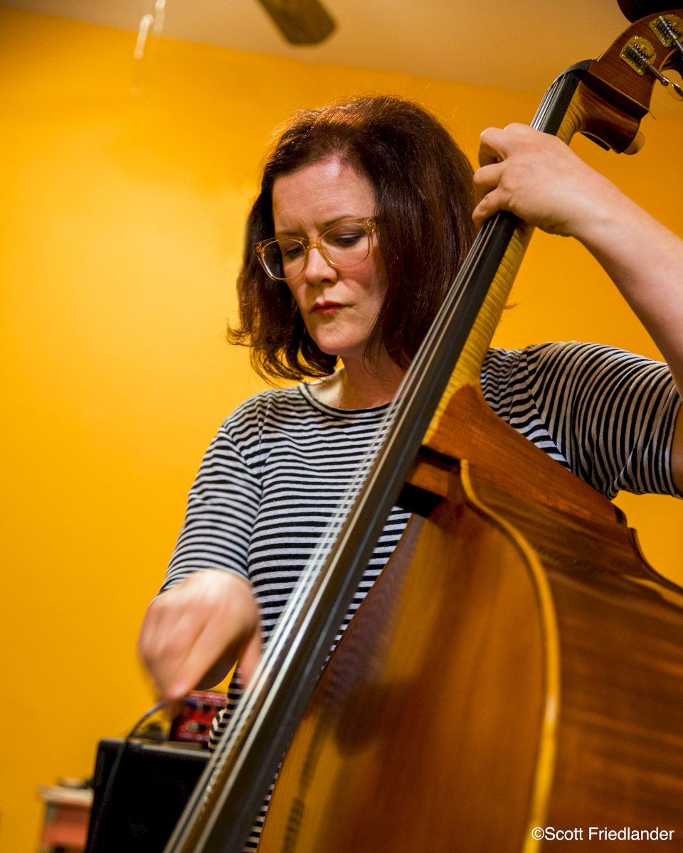 Lisa Cappa Lisa Mezzacappa Workshop - Amateur Music Network